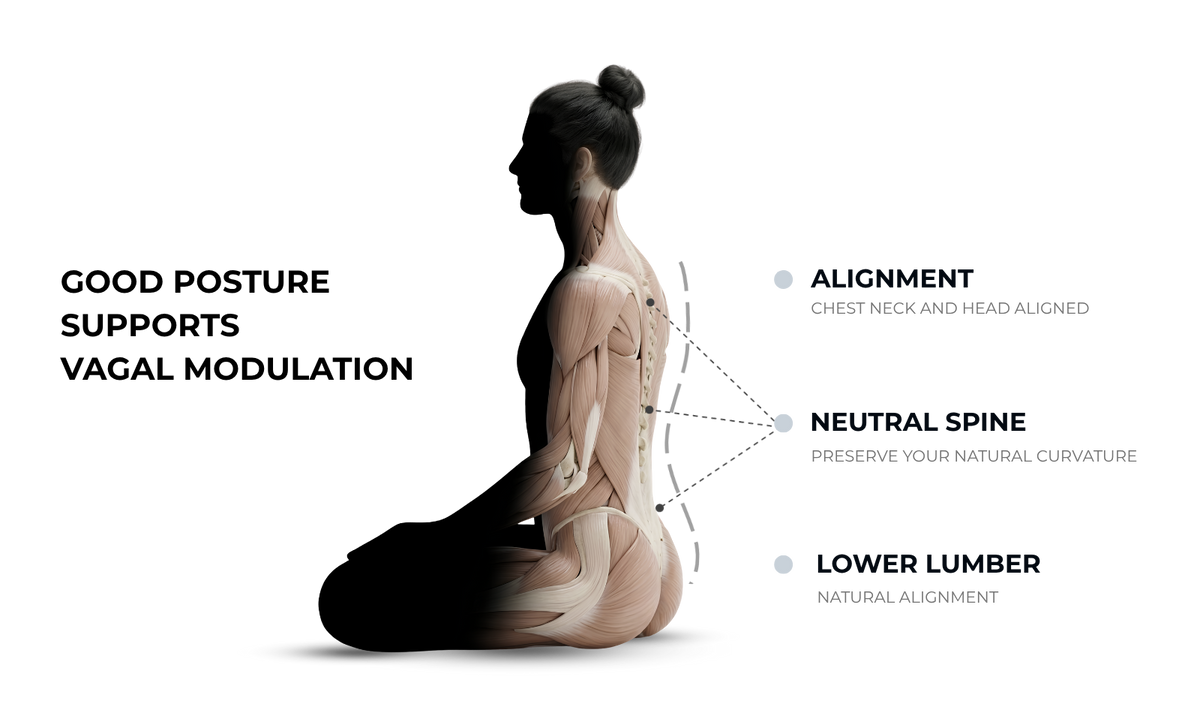 THE UPRIGHT BACK